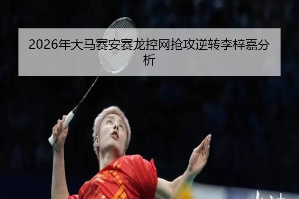 nian-da-ma-sai-an-sai-long-kong-wang-qiang-gong-ni-zhuan-li-zi-jia-fen-xi-3-522.jpg