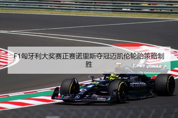 F1匈牙利大奖赛正赛诺里斯夺冠迈凯伦轮胎策略制胜